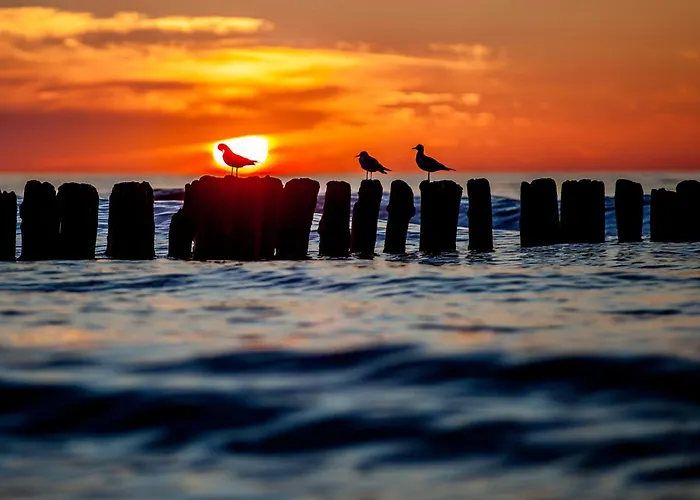 Whiteblue 55 Blizej Morza Kołobrzeg